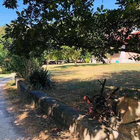 Aligvár Vendégház Salfold Esterno foto